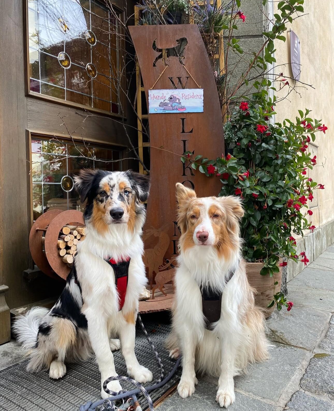 Hotel Grimming dogs&friends-官方