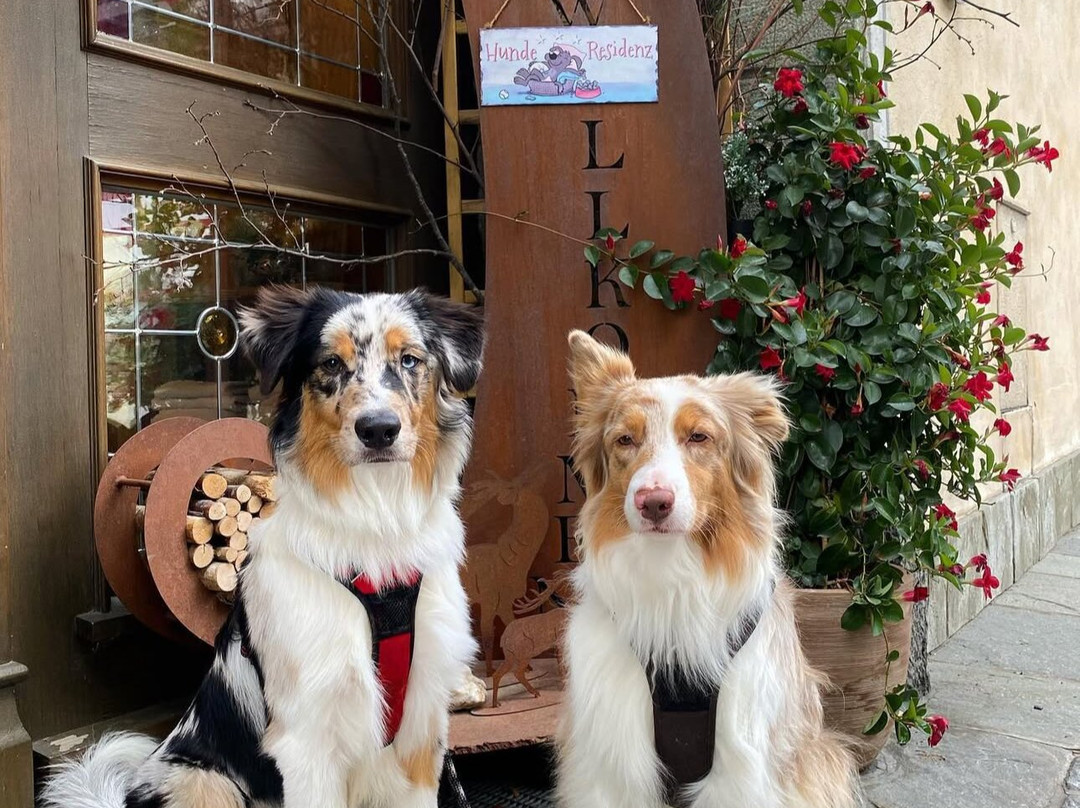 Hotel Grimming dogs&friends主图