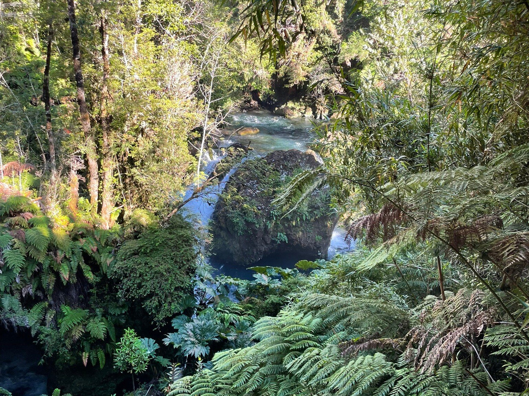 Futangue Park-Lago Ranco必去景点
