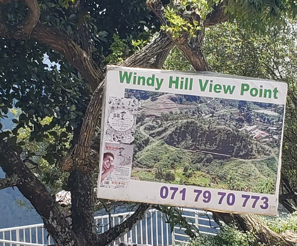 Windy Hill Viewpoint-埃勒必去景点