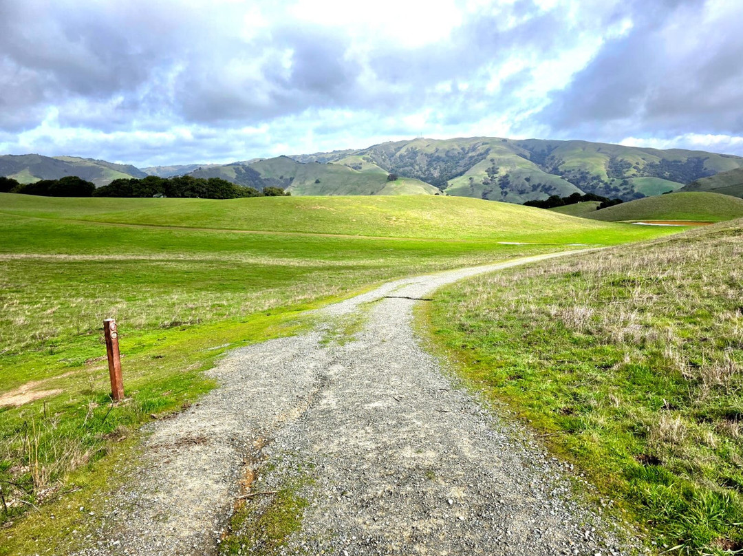Vargas Plateau Regional Park-费利蒙必去景点