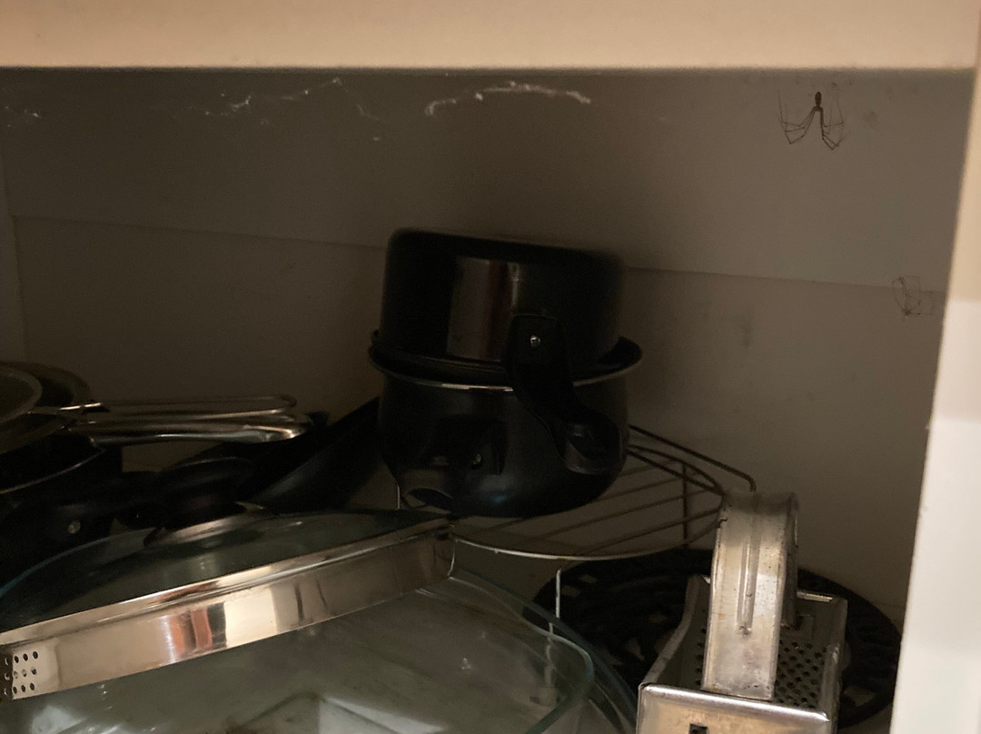 Tibbiwell Lodge主图