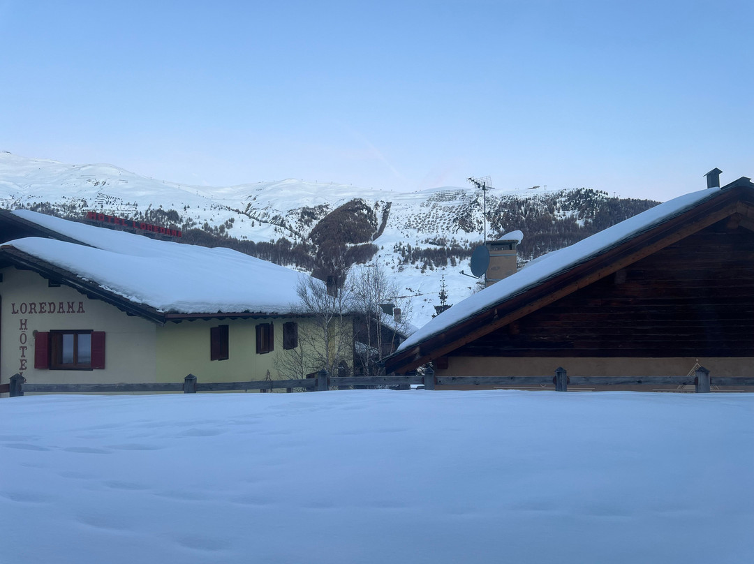 Hotel del Bosco主图