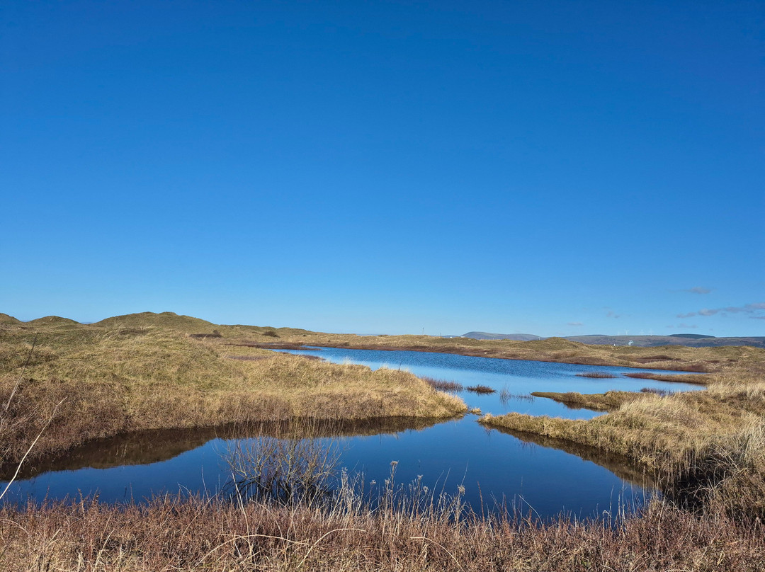 Kenfig National Nature Reserve景点图片