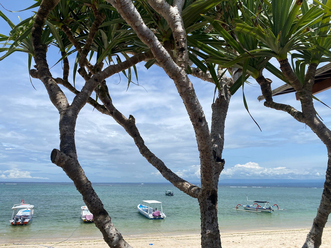 Ketut Bungalows Lembongan主图