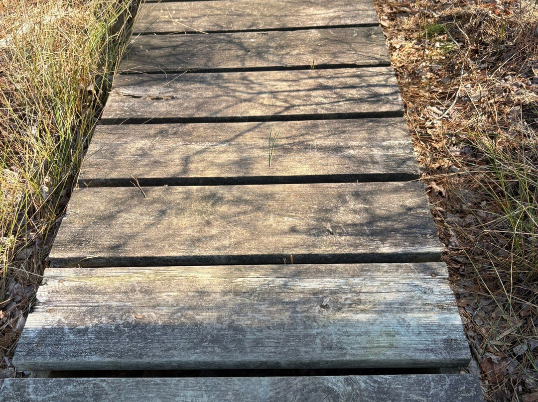 Bush Mill Stream Natural Area Preserve-Heathsville必去景点