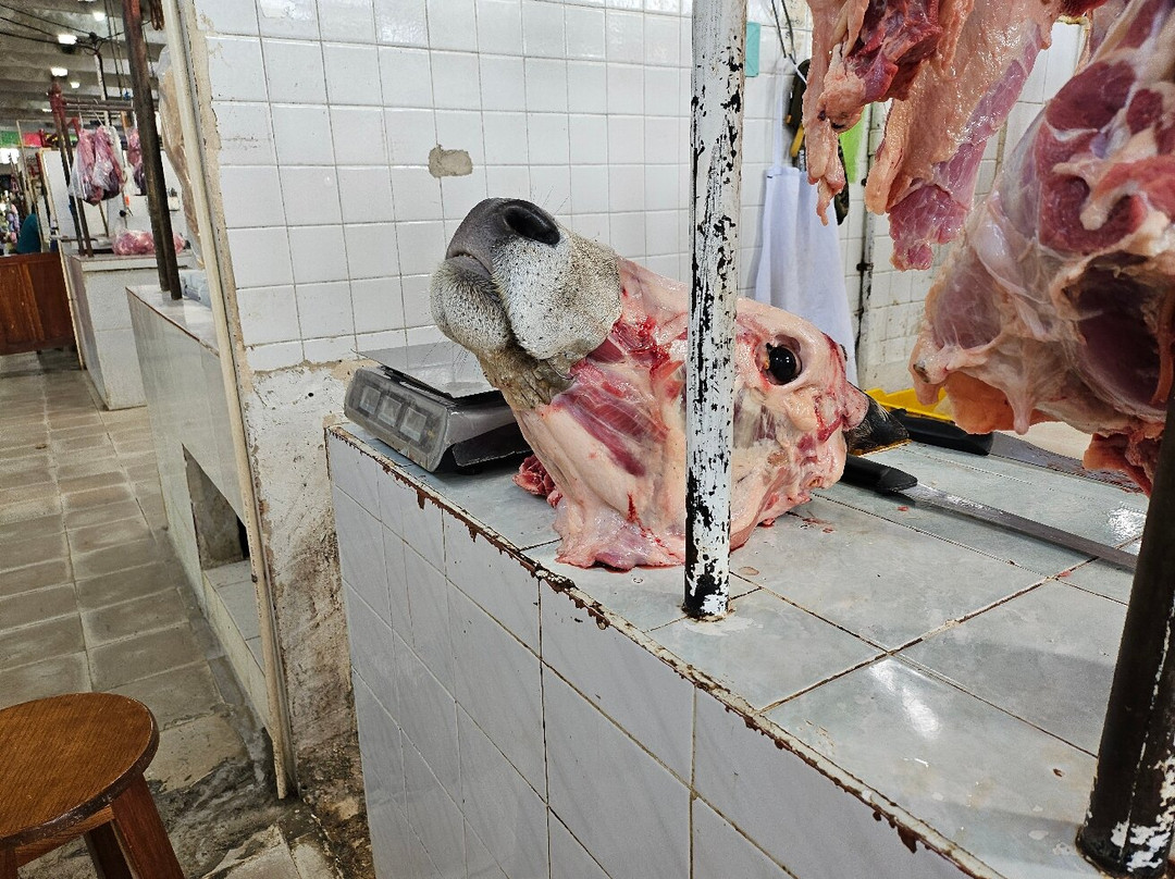 Mercado Municipal-巴利亚多利德必去景点