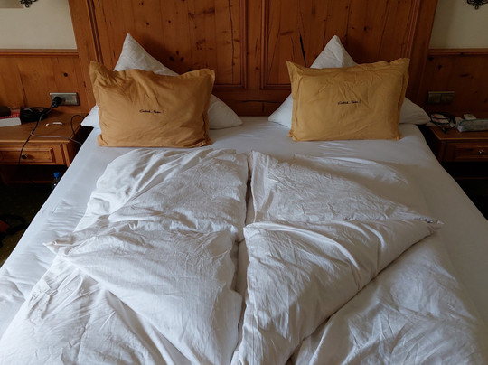 Aster Boutique Hotel & Chalets主图