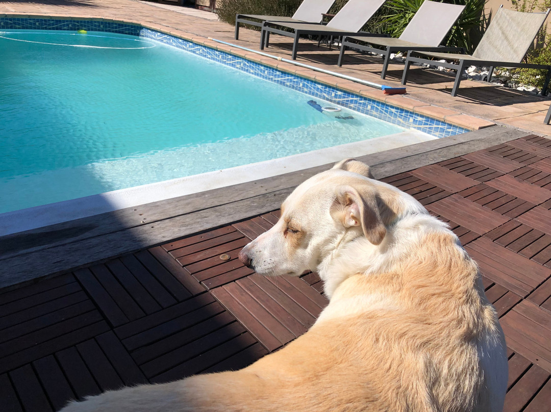 La Roche Guest House主图