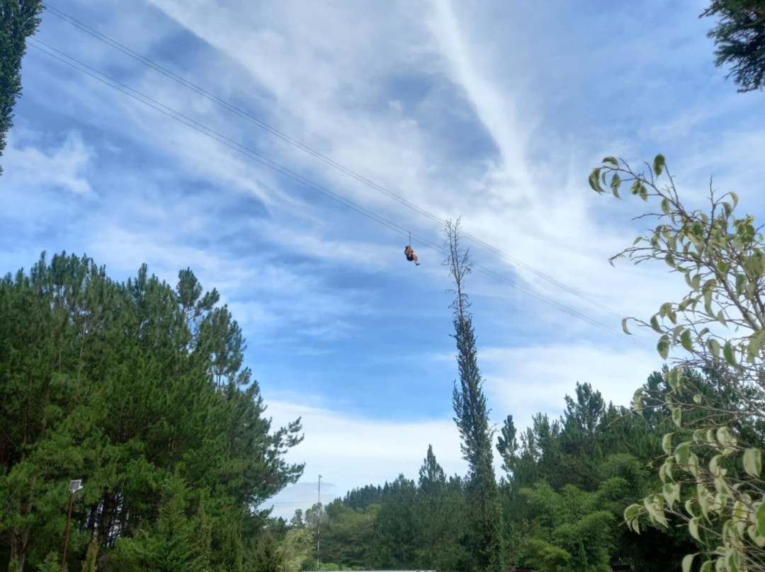 Dahilayan Forest Park Resort主图