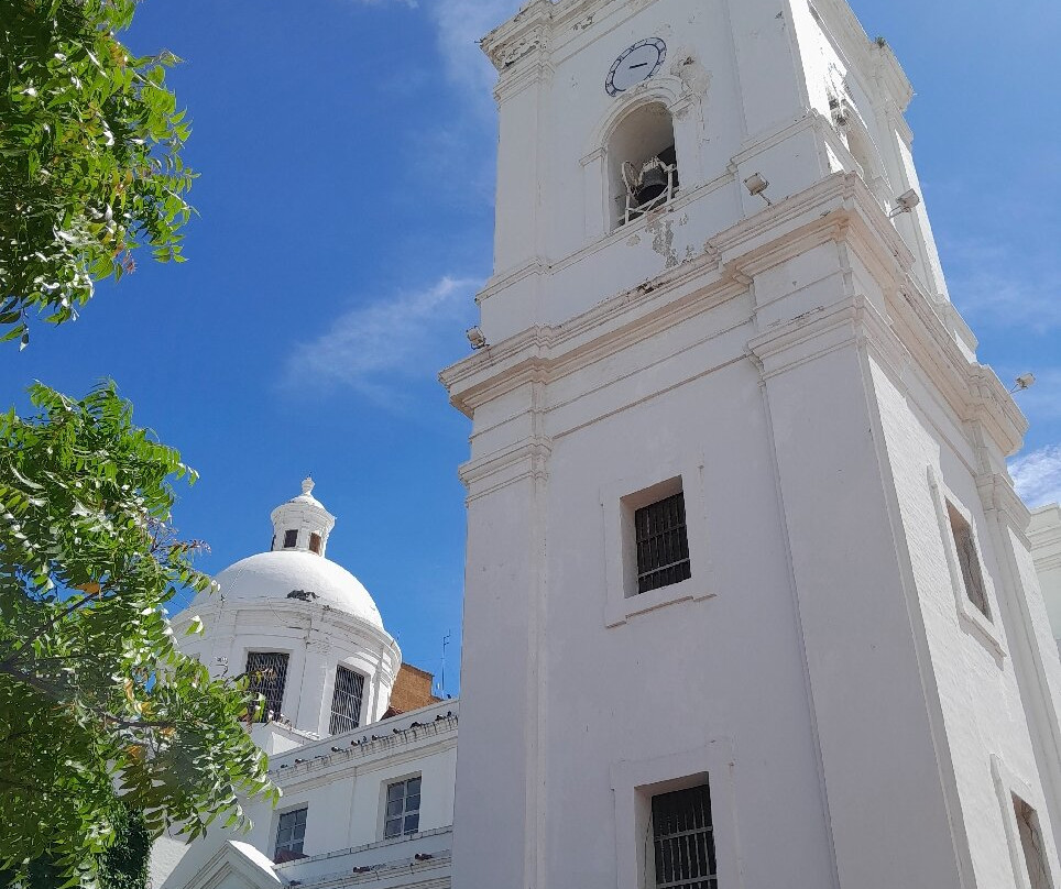 Catedral de Santa Marta景点图片