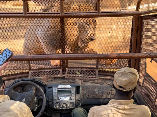 The Motherland Experience Travel Tour-达喀尔必去景点