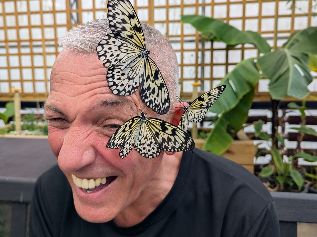 The London Butterfly Gardens景点图片