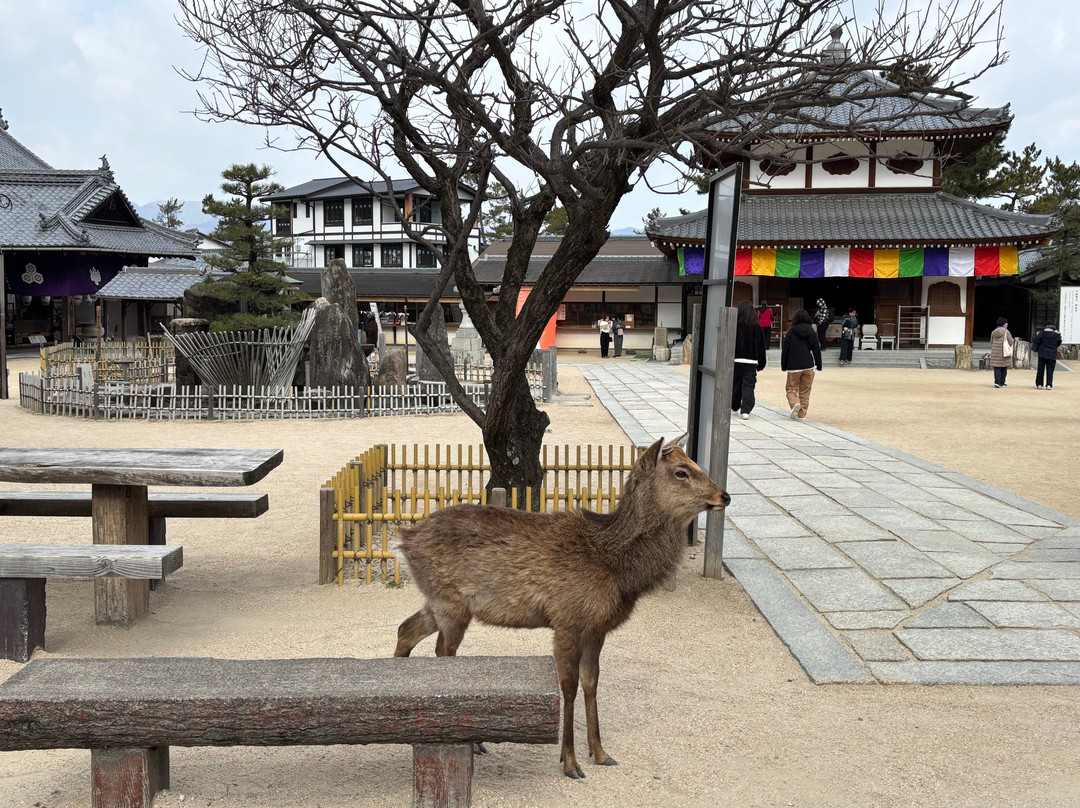 Daiganji Temple-廿日市市必去景点