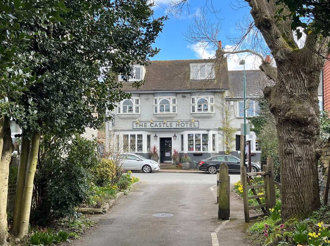 The Castle Hotel主图