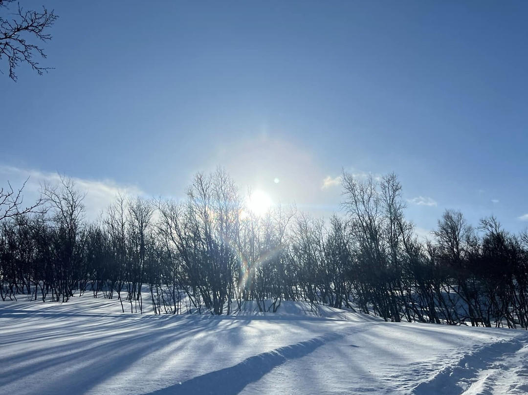 Seljeslett Gård-Russenes必去景点