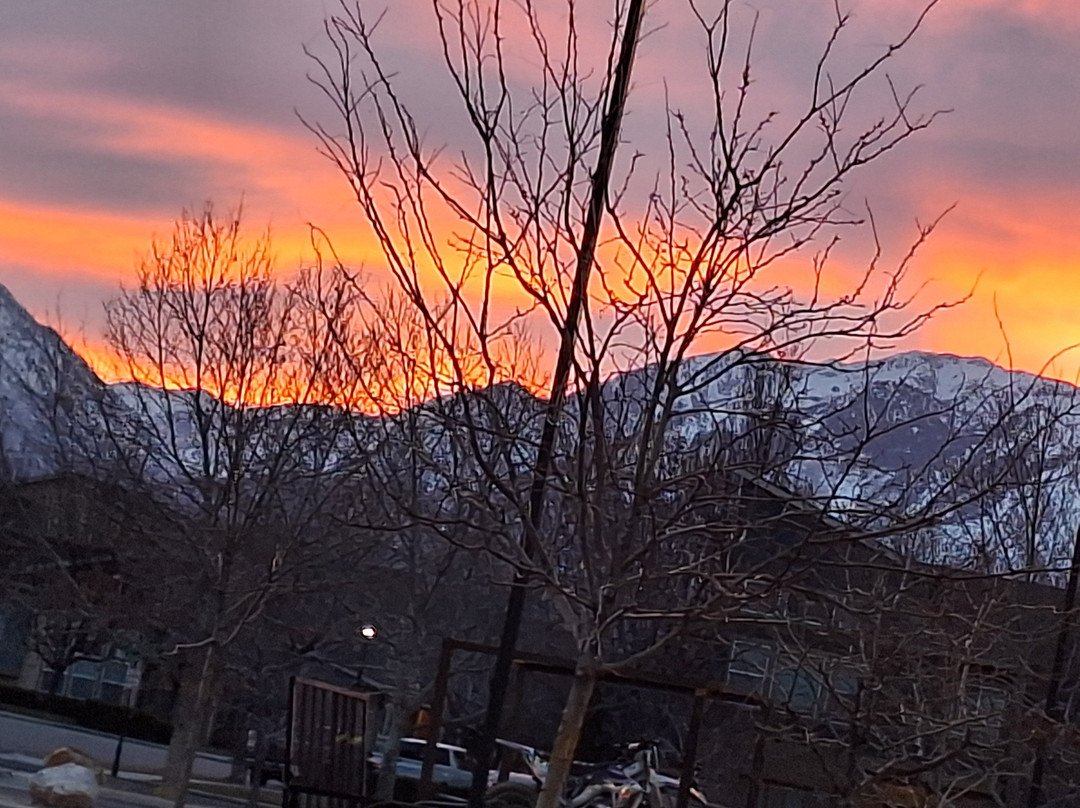 SpringHill Suites by Marriott Salt Lake City-South Jordan主图