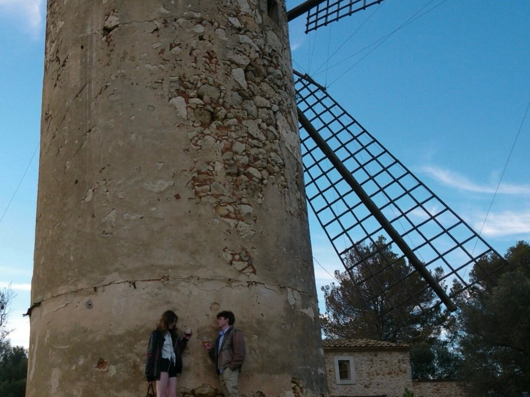 Can Pizà Boutique Winery景点图片