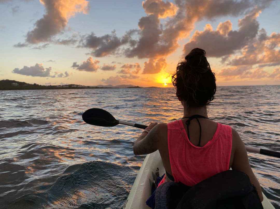 Virgin Islands Ecotours-夏洛特阿马利亚必去景点