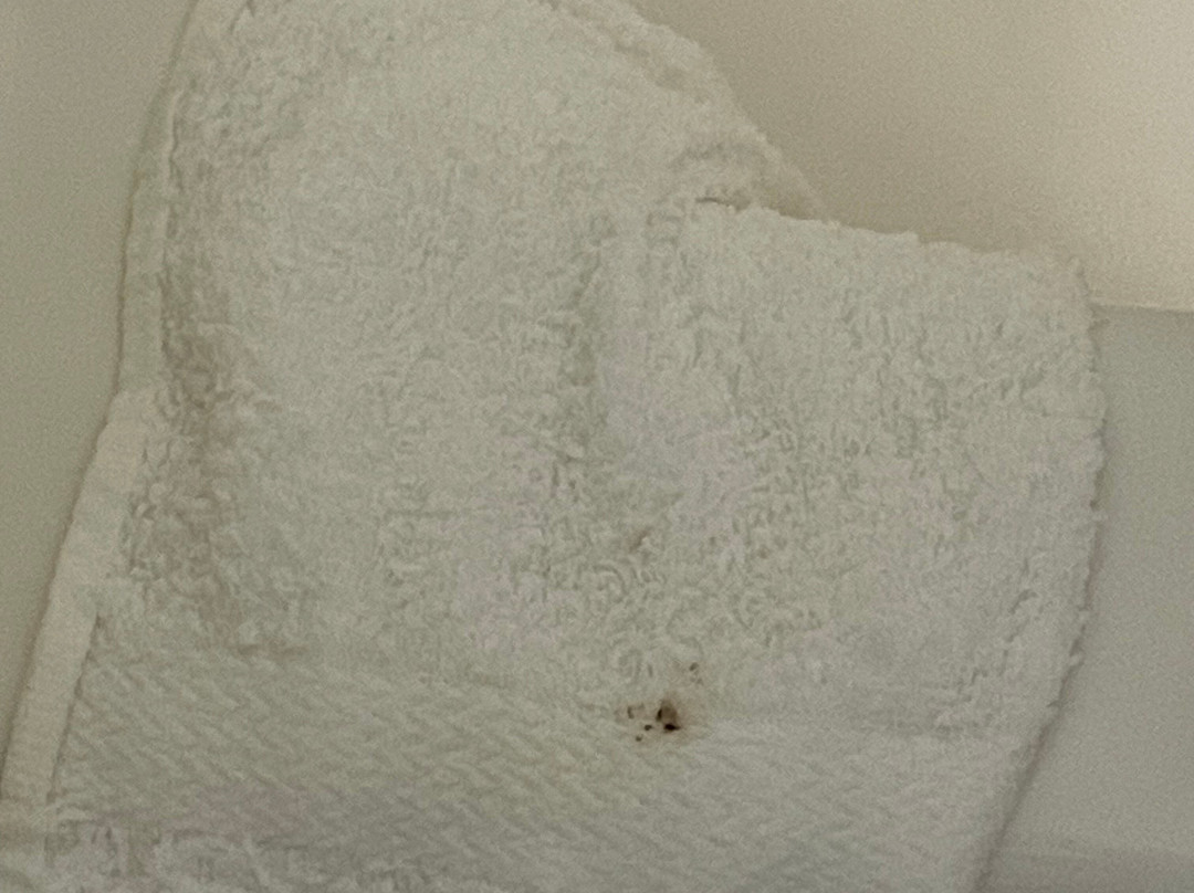 Baymont by Wyndham Albany主图