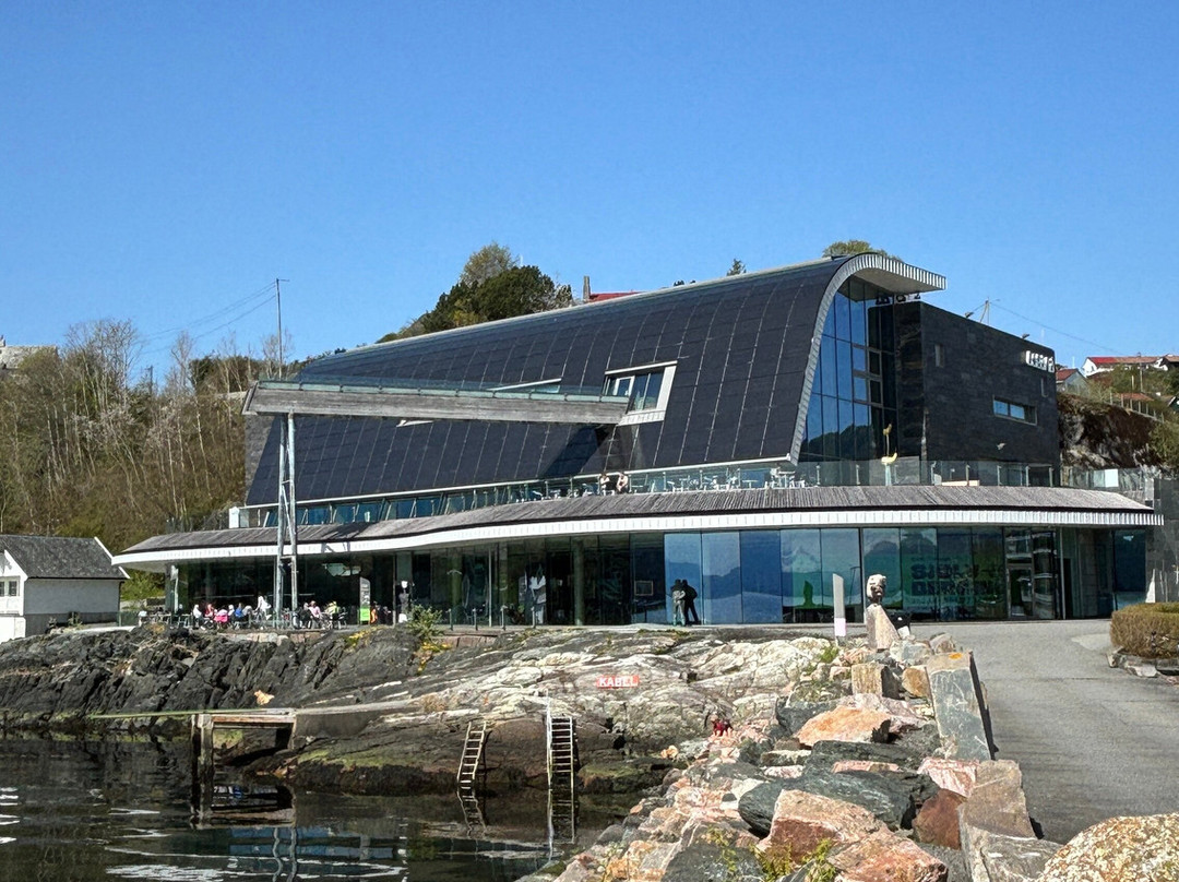 Oseana Art And Cultural Centre景点图片