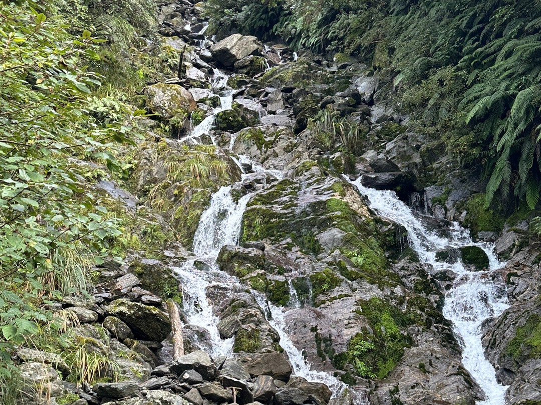 Glacier Valley Eco Tours-西海岸地区必去景点