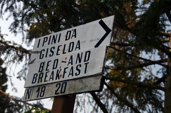 I Pini da Giselda Bed & Breakfast主图