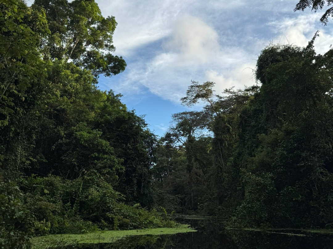 Amazon Fronteras Jungle Tours景点图片