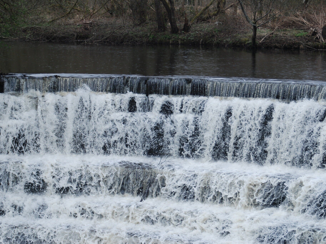 Etherow Country Park景点图片