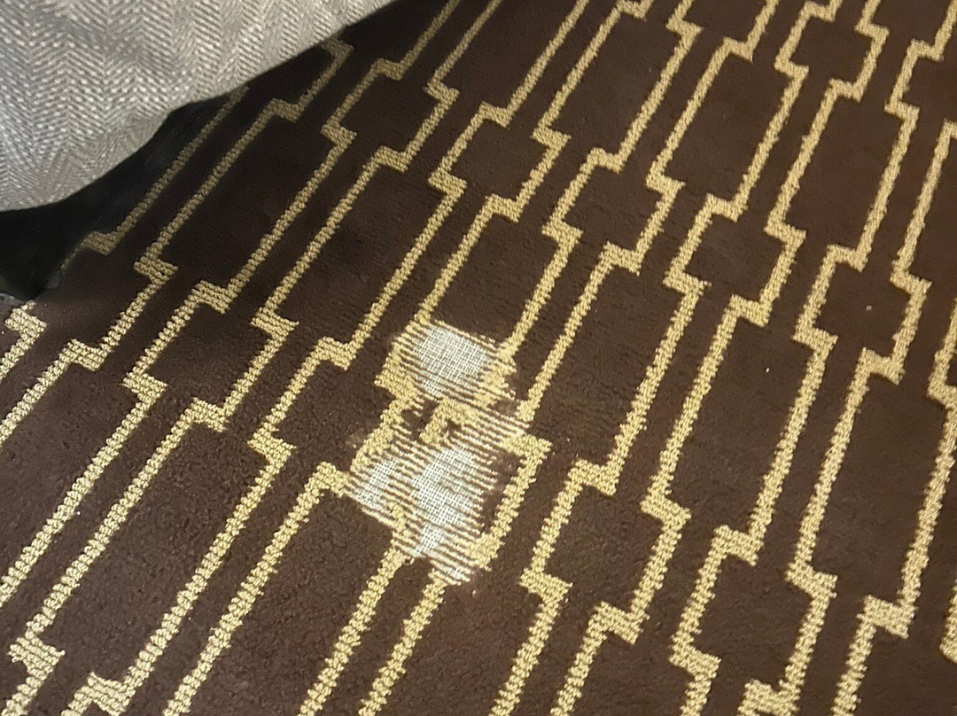 杰克逊希尔顿酒店主图