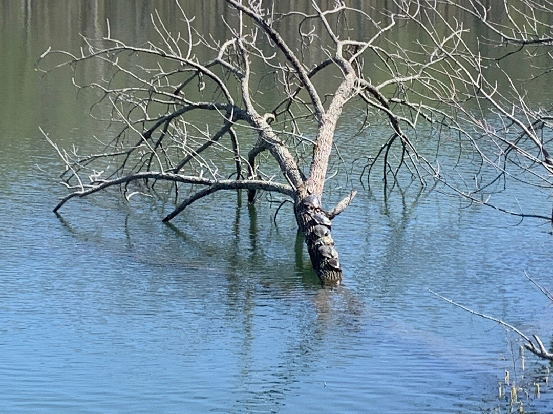 Radnor Lake State Park-纳什维尔必去景点