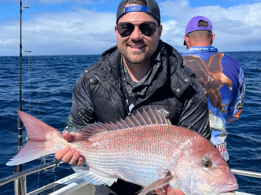 Reef Encounters Fishing Charters-Marion Bay必去景点