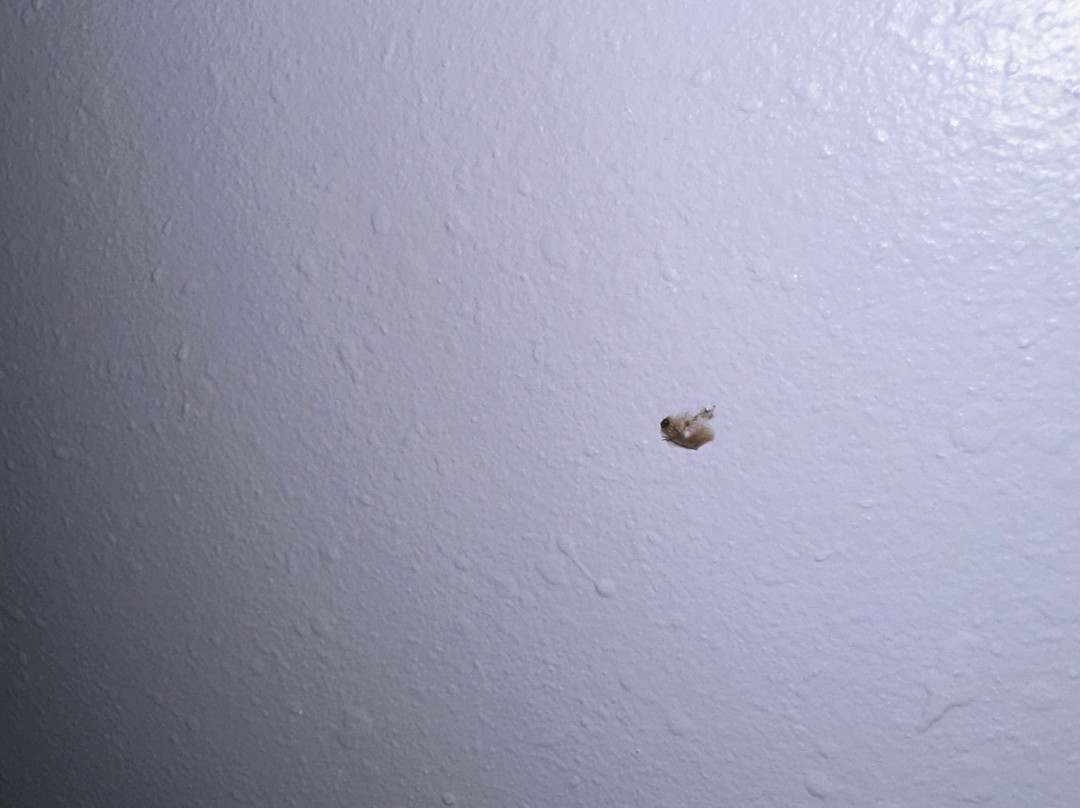 Baymont by Wyndham Henderson Oxford主图