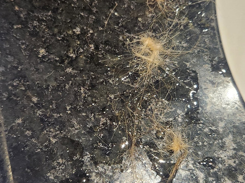 里约热内卢格雷别墅主图