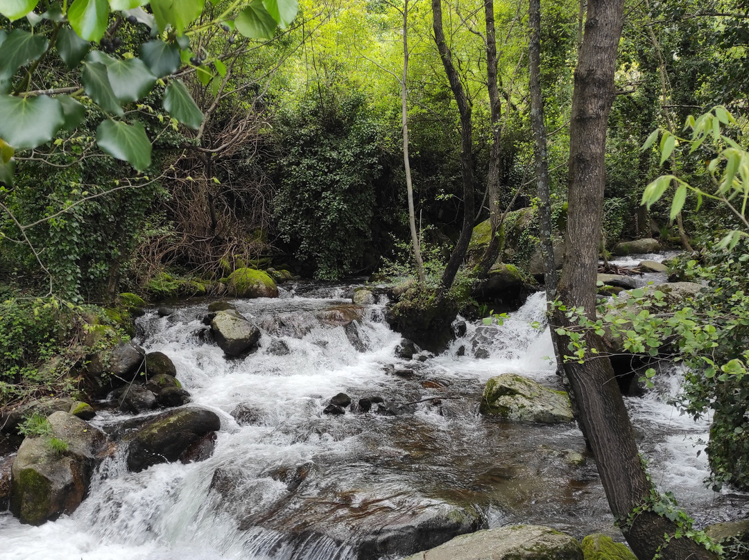 Cascadas de las Nogaledas景点图片