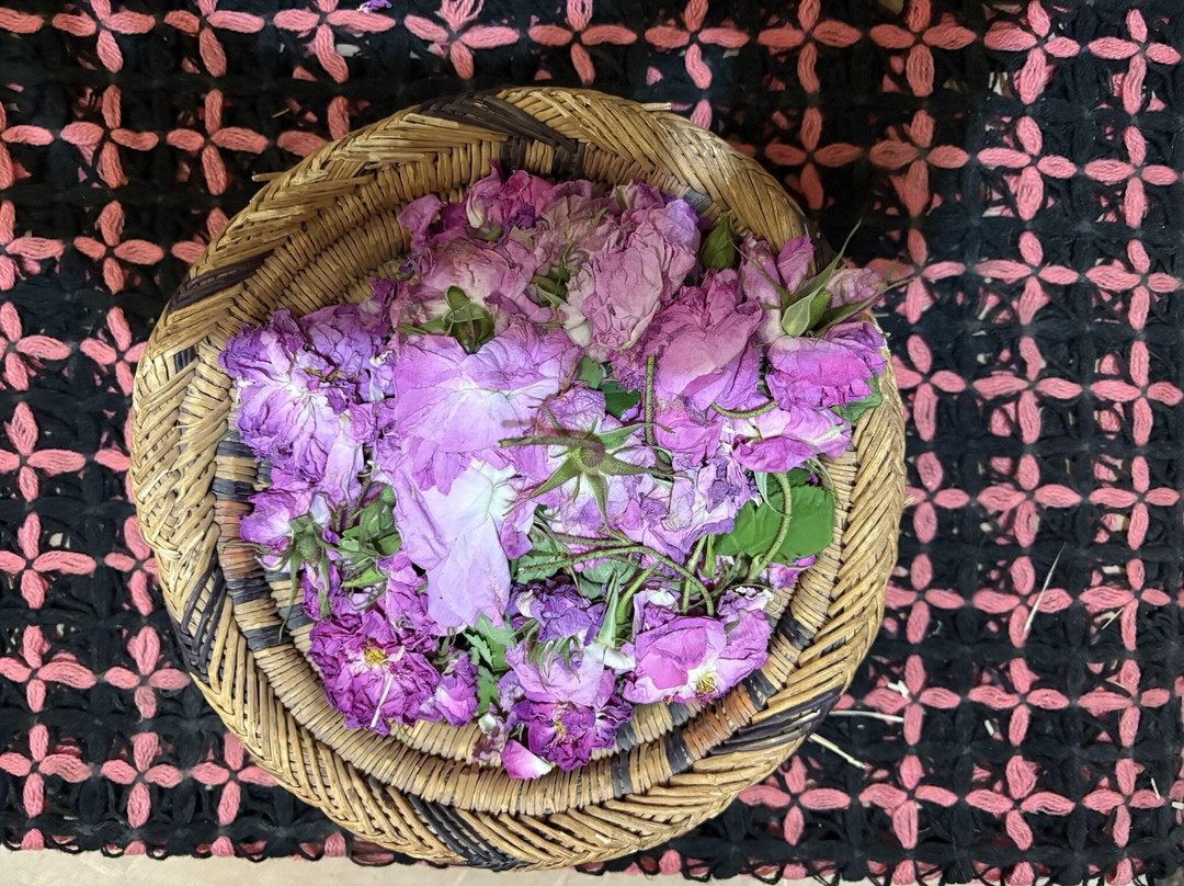 Kasbah Dar Talouste主图