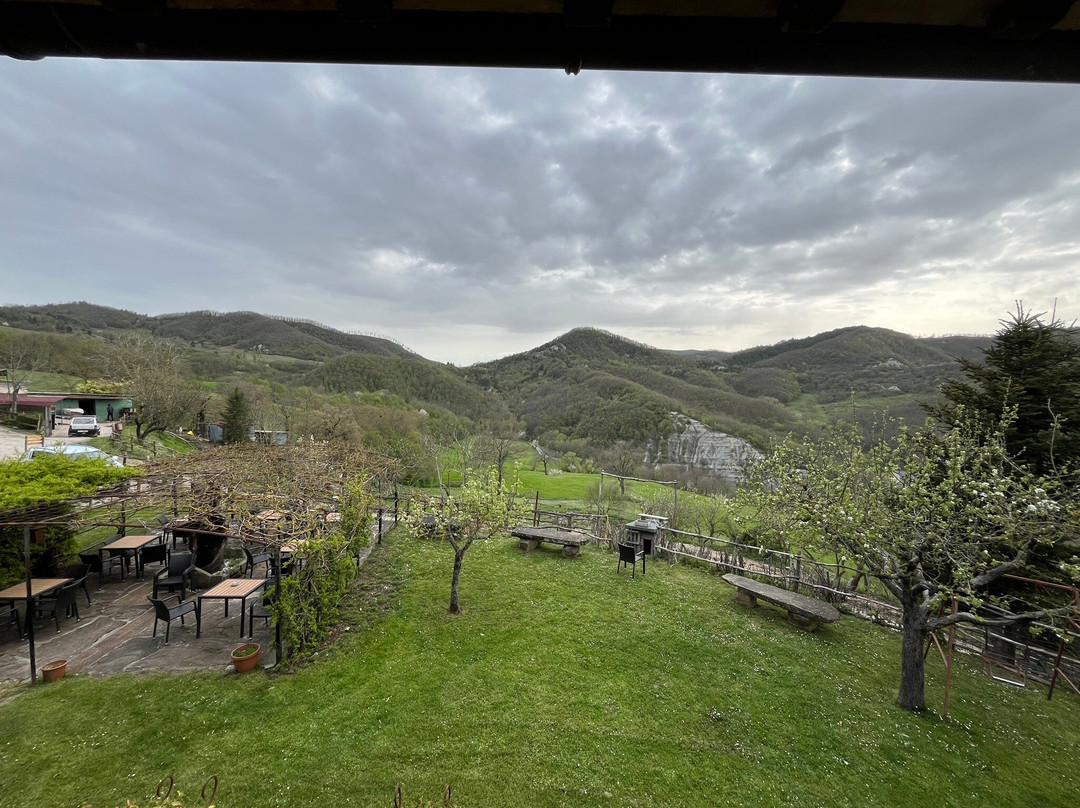 Agriturismo La Contessa Quarter Horse主图