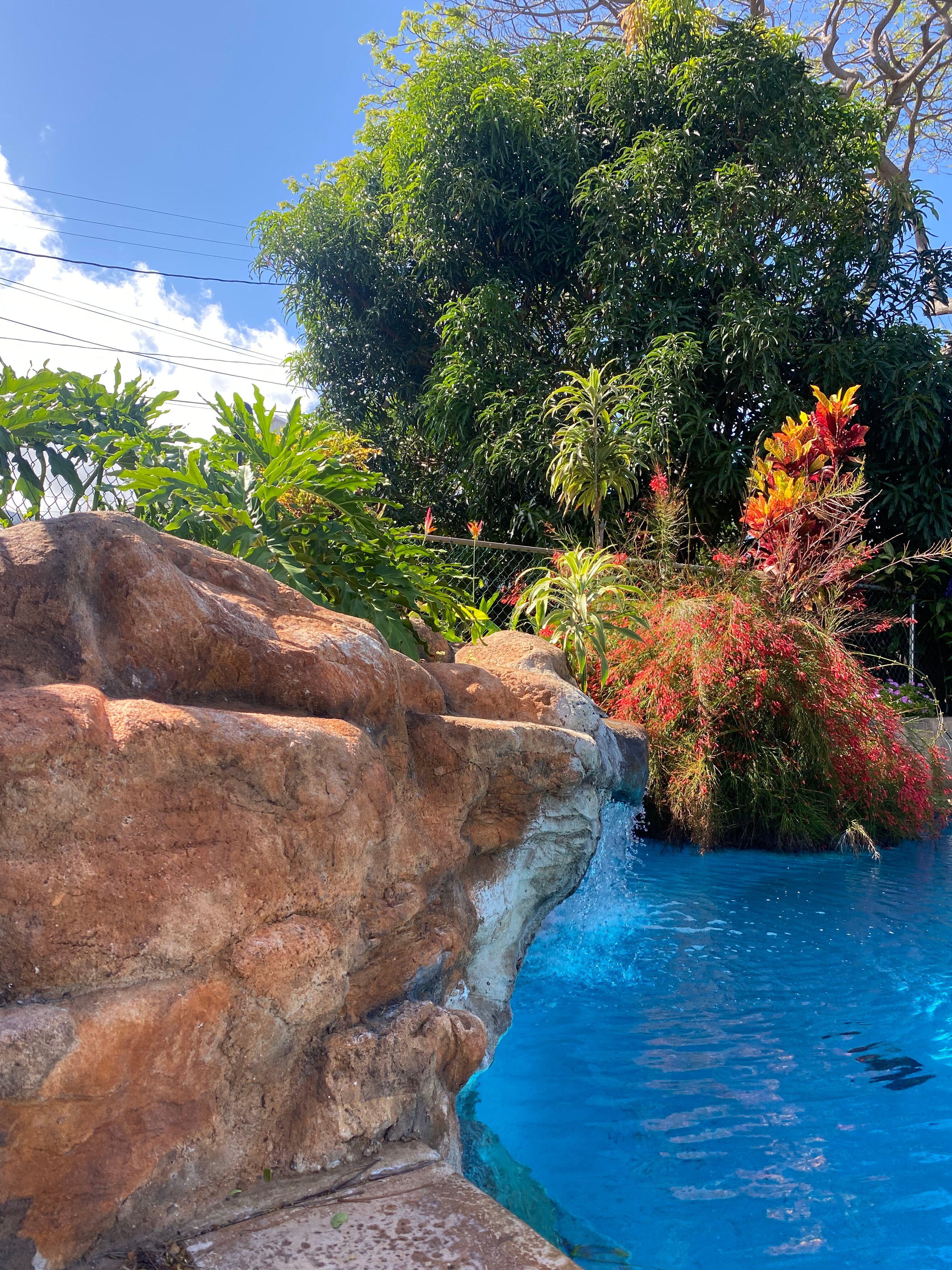Wailuku Guesthouse-泳池
