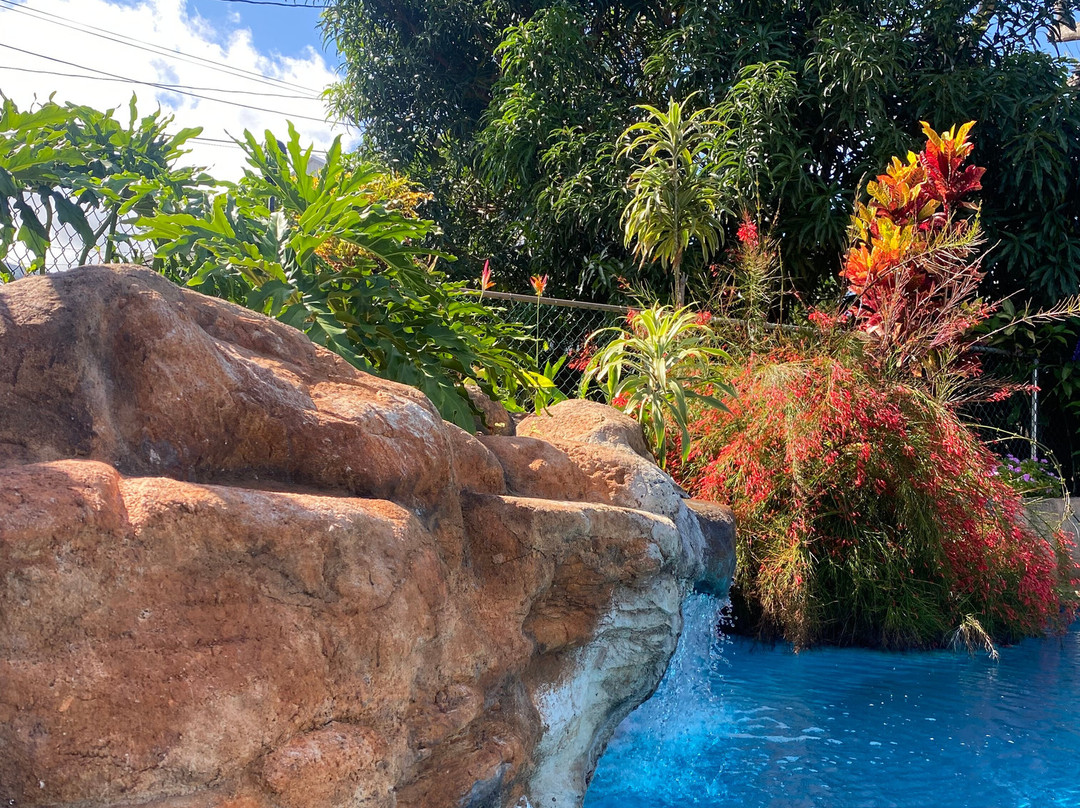 Wailuku Guesthouse主图