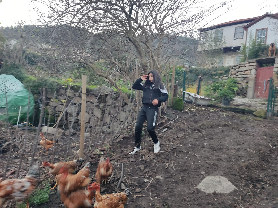 Quinta Do Luar-null必去景点