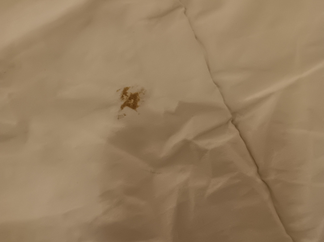 索非亚酒店主图