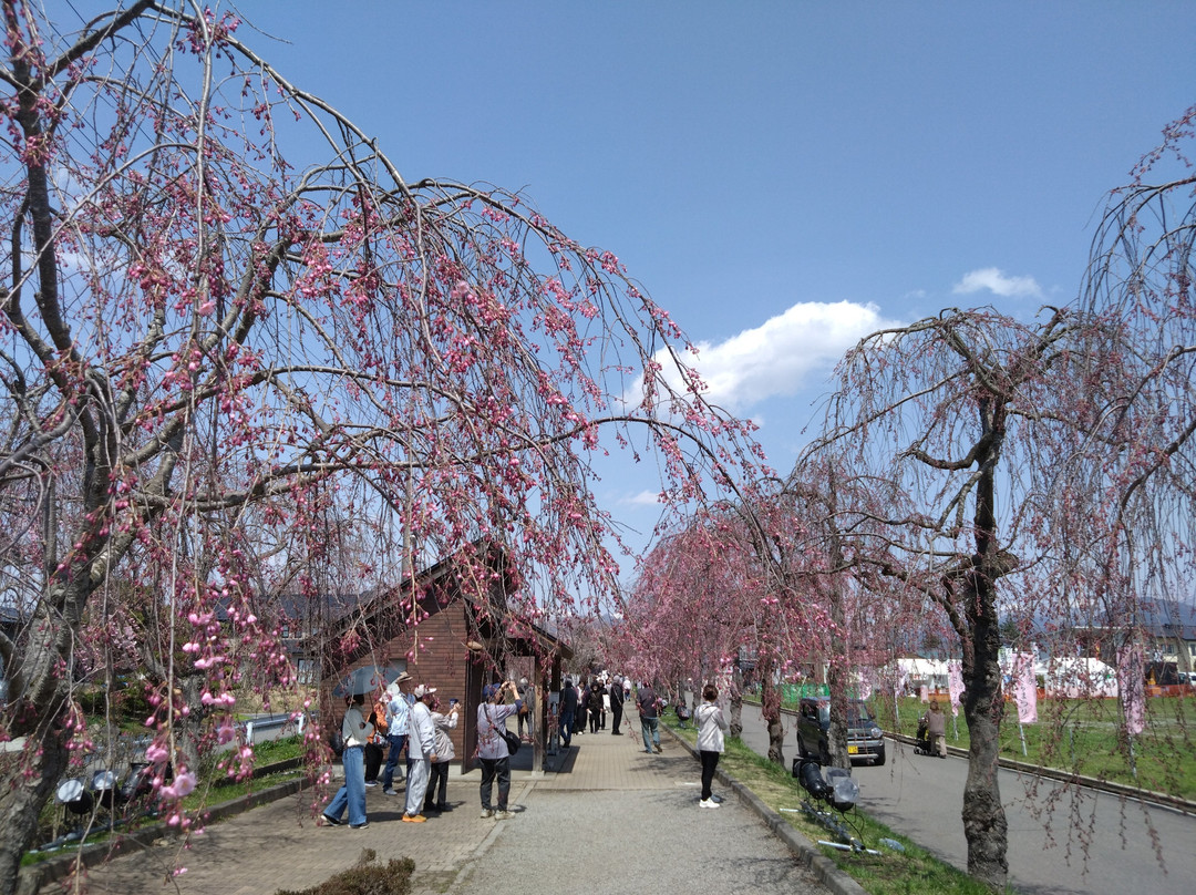 Nitchusen Memorial Bike and Pedestrian Path-喜多方市必去景点