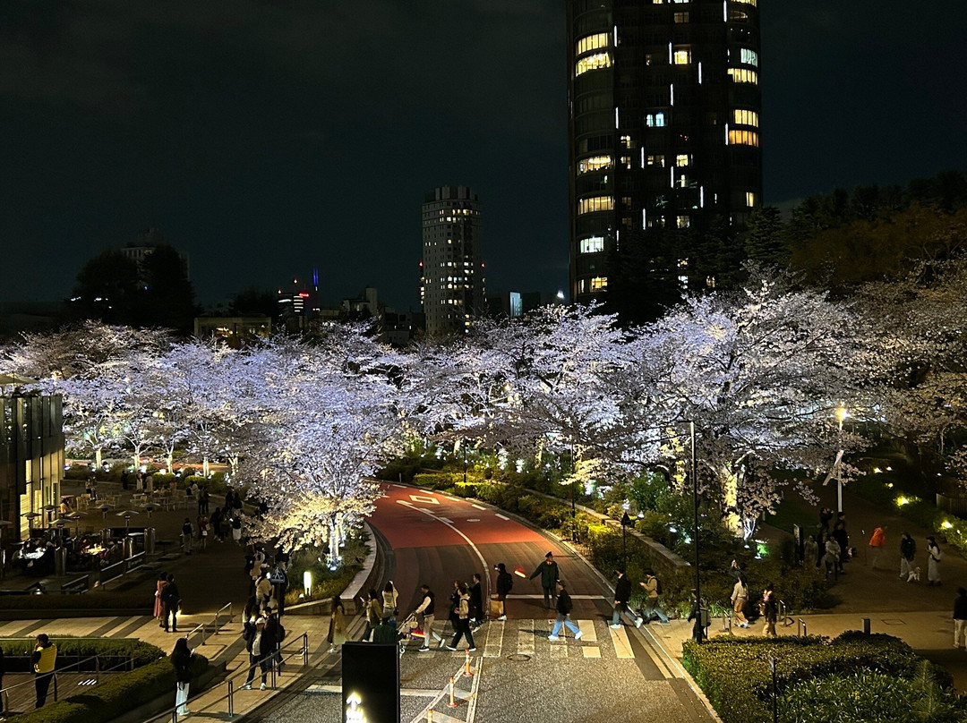 Tokyo Midtown Garden-Akasaka必去景点