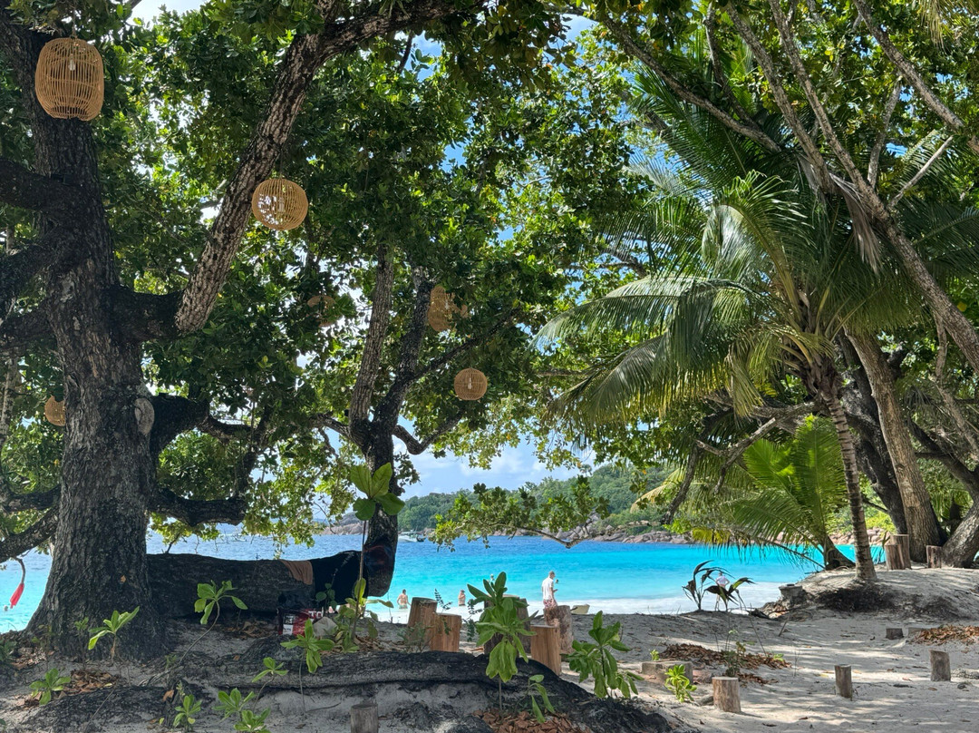 Coconut Services-Baie Ste Anne必去景点