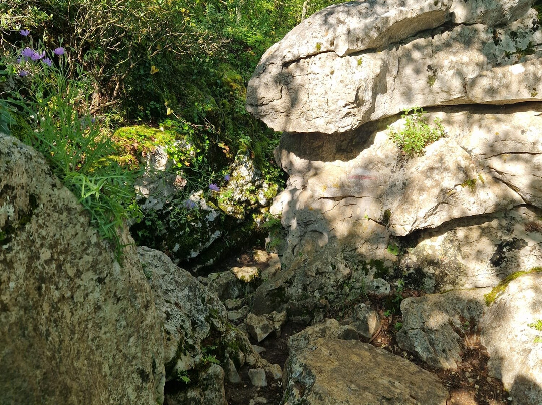 Bois de Païolive-Les Vans必去景点