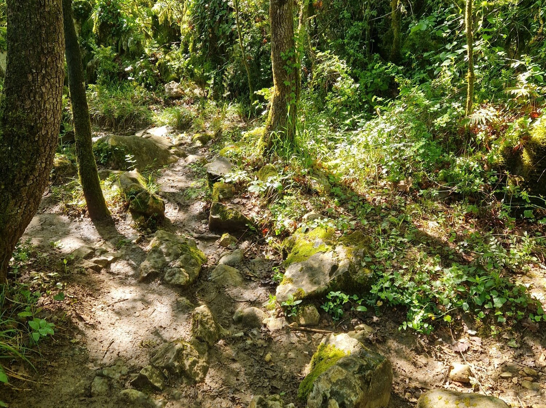 Bois de Païolive-Les Vans必去景点