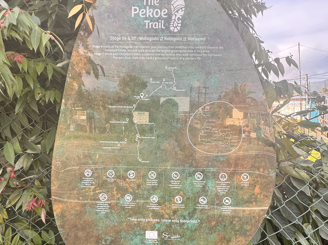 Princess of Dickoya主图