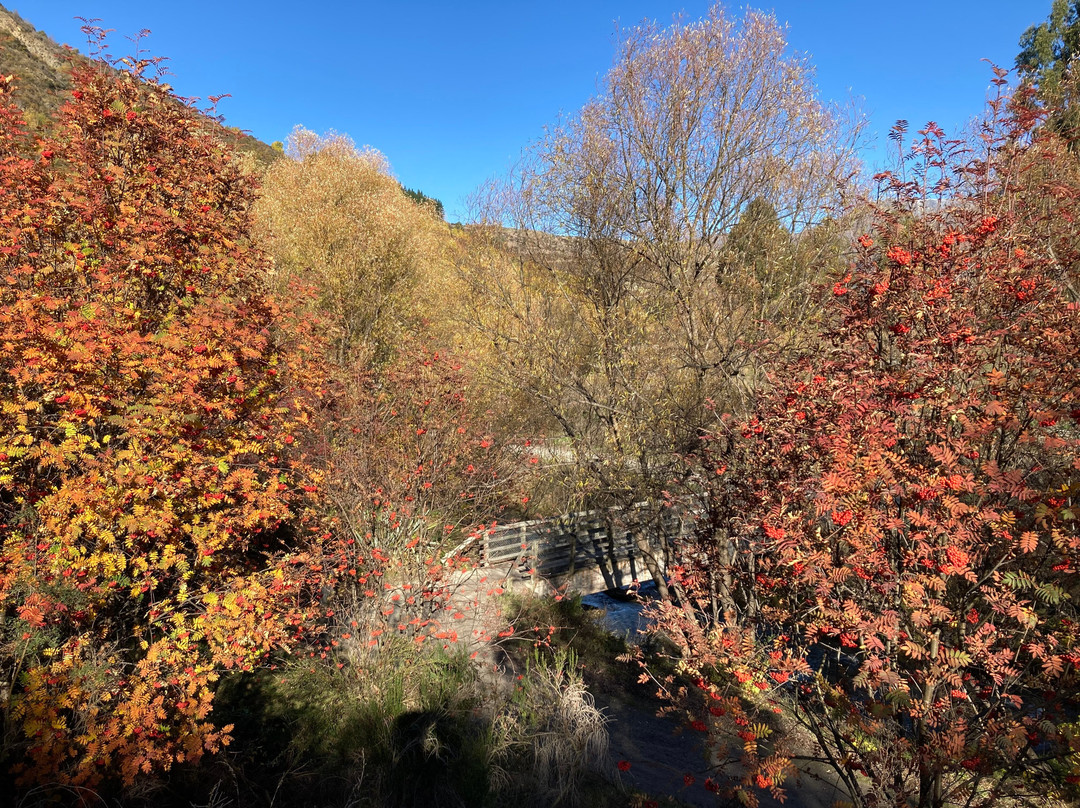 Arrowtown Bike Hire-箭镇必去景点