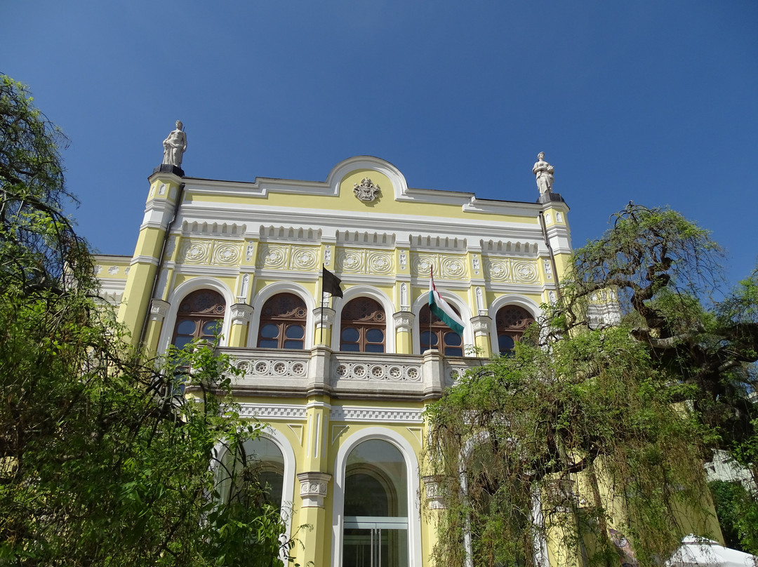 Csokonai Szinhaz景点图片