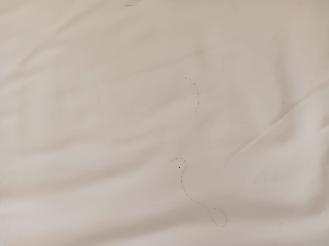 De Gulden Waagen主图